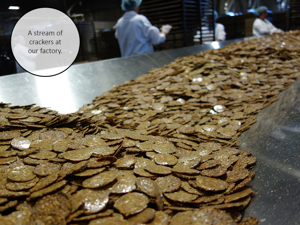a river of crackers at the plant